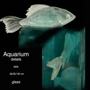 Aquarium_D
